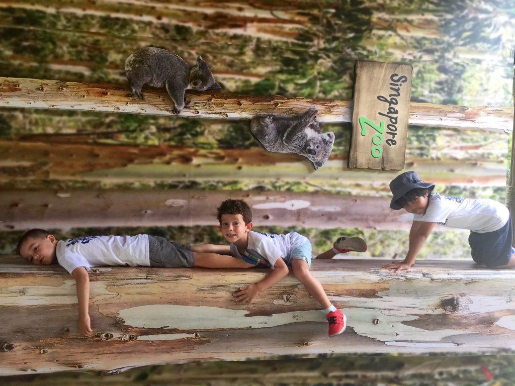 Village Camps International Summer Camp VDC Singapore 2017-07-28 https://www.villagecamps.com/journals_admin/images/1237-7534-FullSizeRender (3).jpg